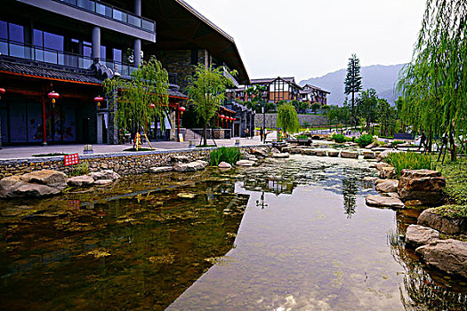 酒店,园林,花园