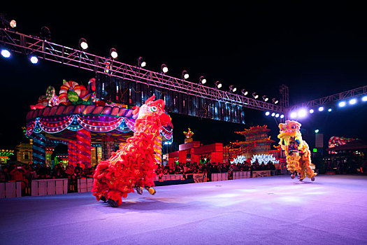 中国广东深圳欢乐灯会