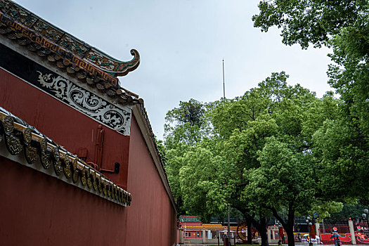 广州三月春雨中的广州图书馆和农讲所红墙绿瓦绿树