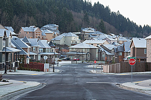 住宅,街道,冬天