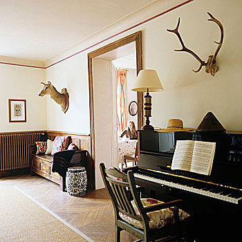 钢琴,猎捕,房间