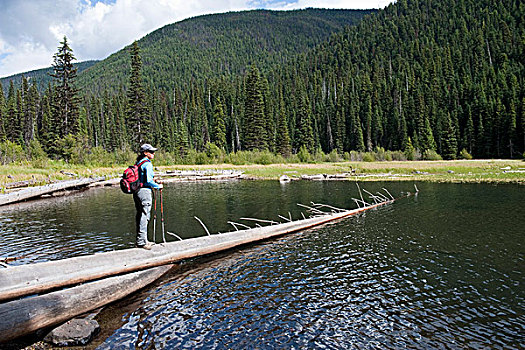 女人,远足,省立公园,不列颠哥伦比亚省,加拿大