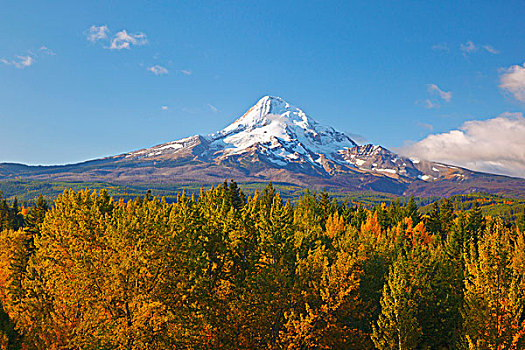 胡德山,秋色,胡德河,山谷,俄勒冈,美国