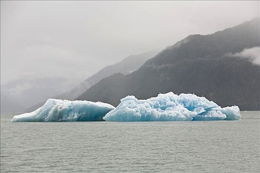 冰山,恩迪科特湾,东南阿拉斯加,美国
