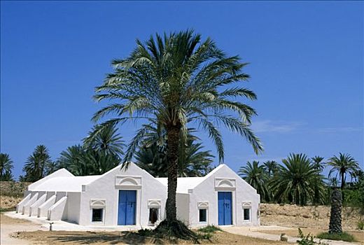 传统,农舍,突尼斯,非洲