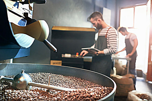 男性,咖啡,后面,烤制,咖啡豆