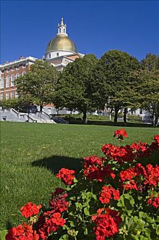 花,公园,政府建筑,背景,马萨诸塞州议会大厦,波士顿,马萨诸塞,美国