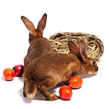 复活节兔子,复活节彩蛋,篮子