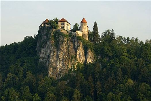 城堡,悬崖,流血,布莱德湖,斯洛文尼亚