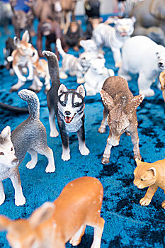 玩具,动物,塑料制品