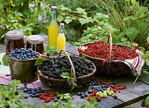 蓝莓,黑莓,红醋栗,篮子