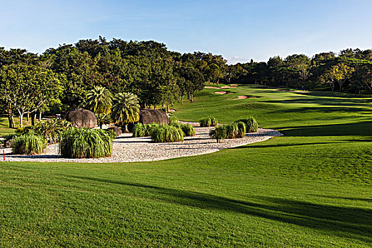 高尔夫球场,清莱,省,北方,泰国,亚洲