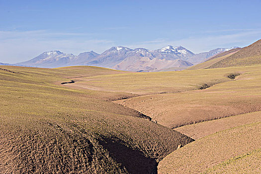 高原地区,佩特罗,阿塔卡马沙漠,安托法加斯塔大区,智利,南美