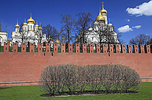 欧洲,俄罗斯,莫斯科,大,克里姆林宫,宫殿,防御,墙壁,球根,尖顶,大教堂