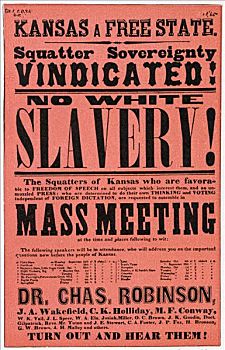 海报,奴隶制,堪萨斯,19世纪