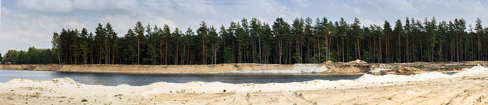 松树,树林,湖