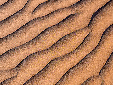 建筑,沙子,纳米布沙漠,纳米比亚,非洲