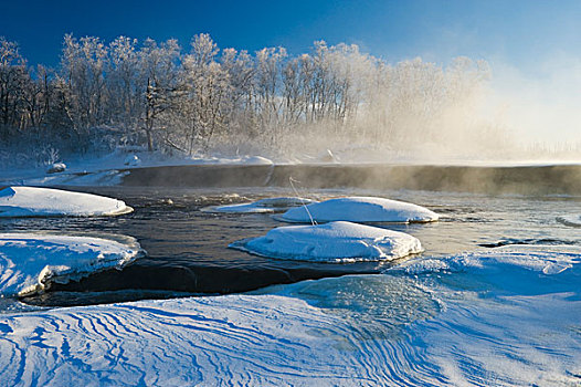 冬天,白贝,河,怀特雪尔省立公园,曼尼托巴,加拿大