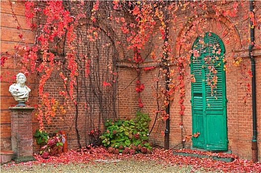 常春藤,红叶,生长,红砖,墙壁,秋天,公园,意大利北部