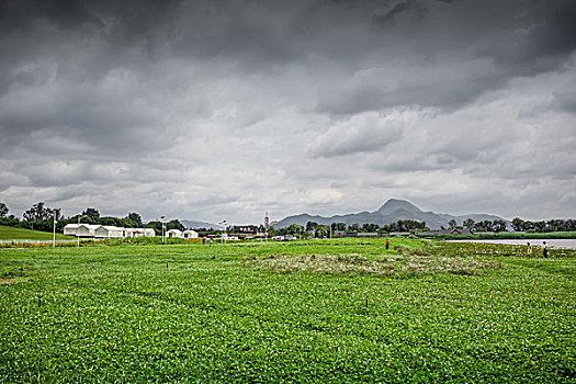 勐海县风光