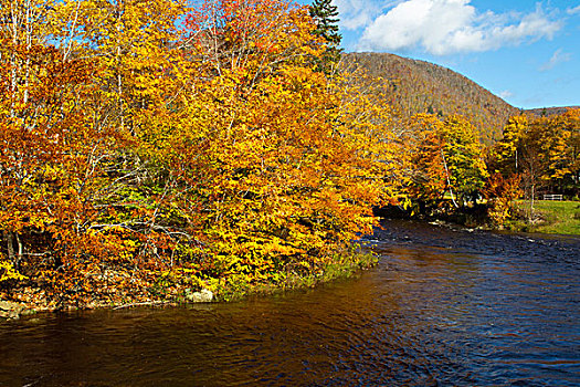 河,秋天,山谷,布雷顿角,新斯科舍省,加拿大