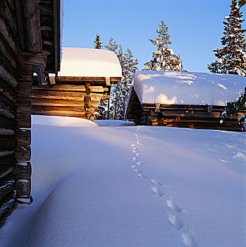 积雪,原木,房子