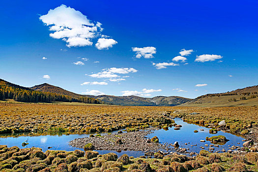 阿勒泰美景