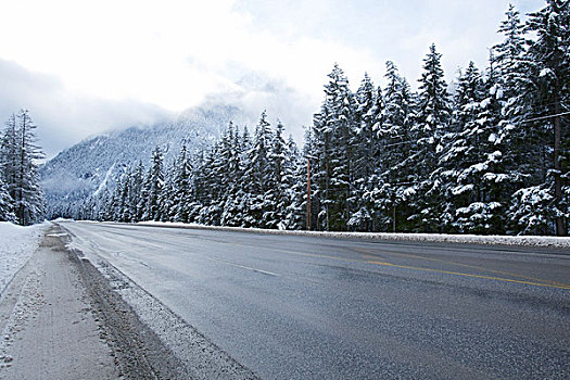 道路,山,靠近,希望,不列颠哥伦比亚省,加拿大