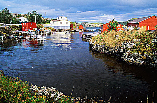 渔村,纽芬兰,拉布拉多犬,加拿大