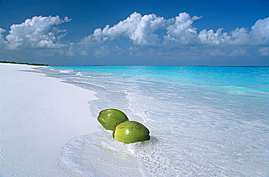 椰子,海滩,无人,岛屿,马尔代夫,印度洋,亚洲