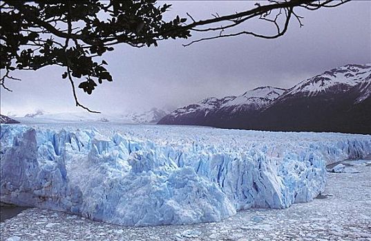 冰河,巴塔哥尼亚,阿根廷,南美