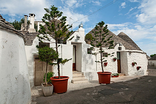 特色,漂亮,锥形石灰板屋顶,房子,阿贝罗贝洛,普利亚区,意大利
