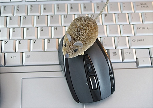 电脑键盘,两个,鼠标