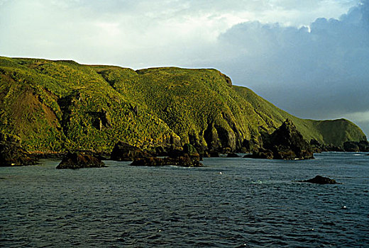 南极,麦夸里岛