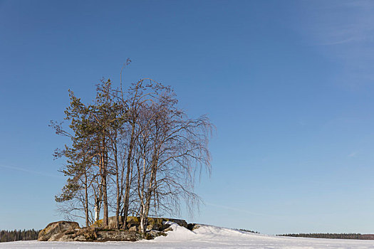 芬兰,区域,小岛,湖,雪,冬天