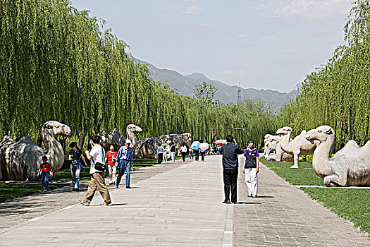 神道,博物馆,十三陵,北京,中国