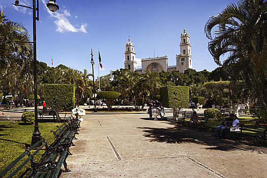 公园,梅里达,大教堂,背景,尤卡坦半岛,墨西哥