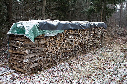 木质,堆积,雪,树林,冬天,施蒂里亚