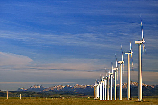 排,风轮机,艾伯塔省,加拿大