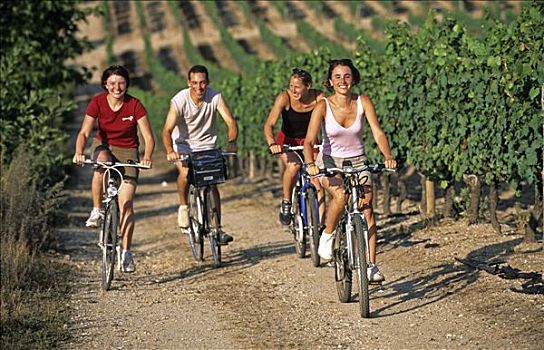 法国,奥弗涅,伴侣,女人,自行车,葡萄园