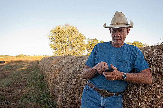 农民,手机,电话,干草,大捆