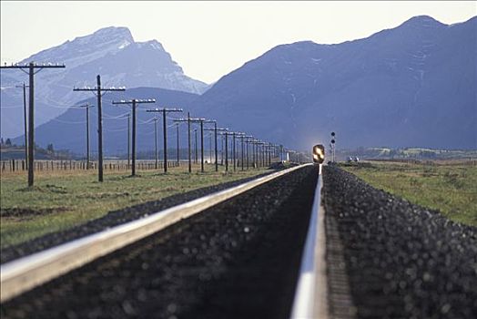 远景,列车,轨道,加拿大,落基山脉,后面,艾伯塔省
