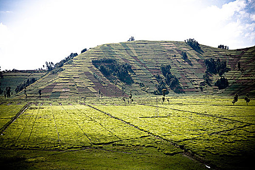 风景,卢旺达,非洲