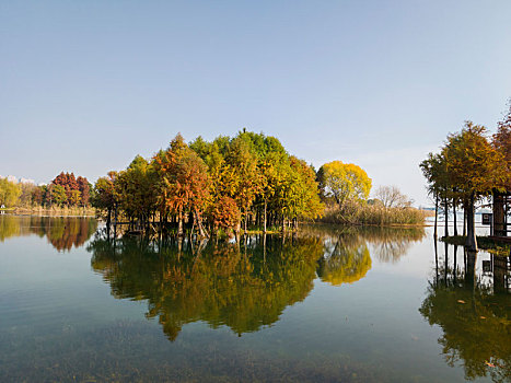 深秋的无锡贡湖湾湿地