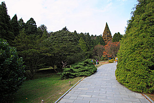 庐山植物园