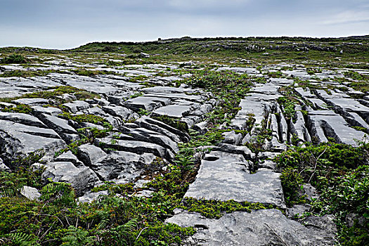 岩石,石灰石,风景,阿伦群岛,爱尔兰