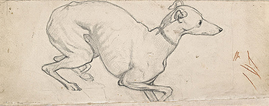 学习,灰狗,19世纪,艺术家,褐色
