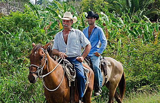 特立尼达,古巴,牛仔,马,骑,途中,牧场