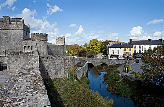 正面,护城河,城堡,建造,管家,家庭,蒂珀雷里郡,爱尔兰