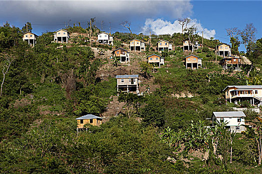 木屋,山坡,格林纳达,西印度群岛